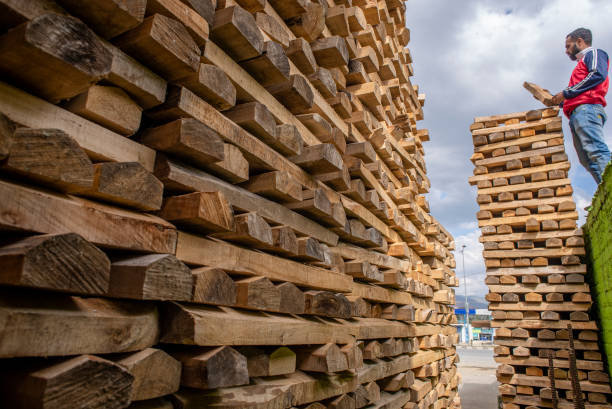 Kashmir Craftsmanship